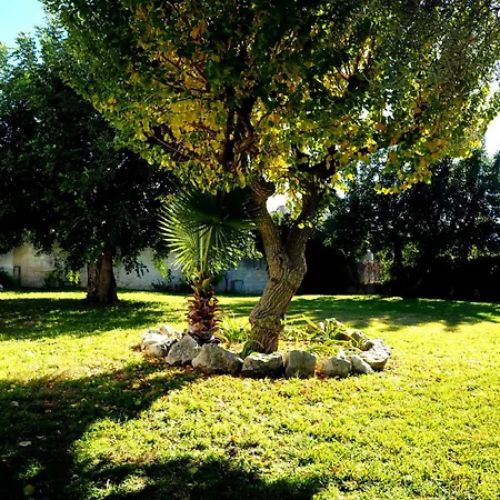 Appartement Chicca *