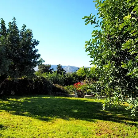 Apartman Chicca